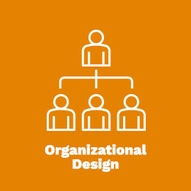 Organizational Design